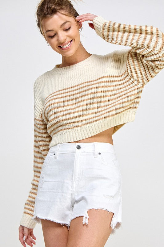 Striped Knit Crop Sweater