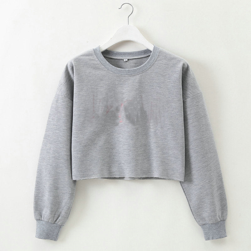 Gray Cropped Long Sleeve T-Shirt